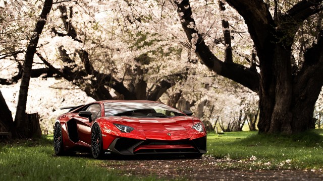 Lamborghini Aventador SV Cherry trees
