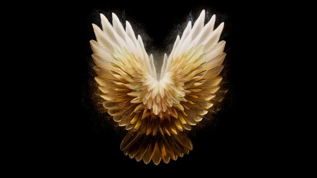 Angel wings Golden yellow