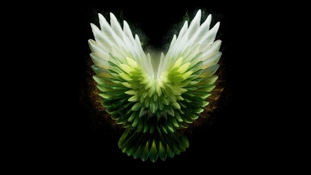 Angel wings Green aesthetic