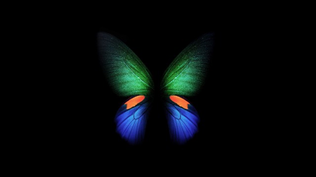 Butterfly Samsung Galaxy Fold