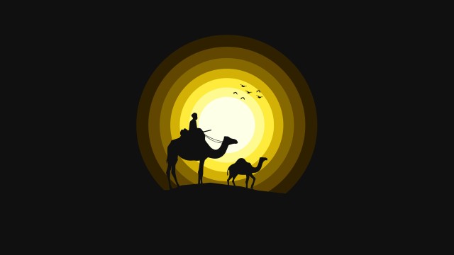 Camels Sun