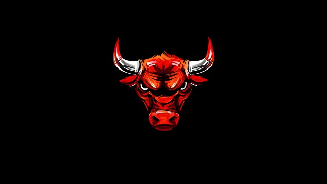 Chicago Bulls Logo