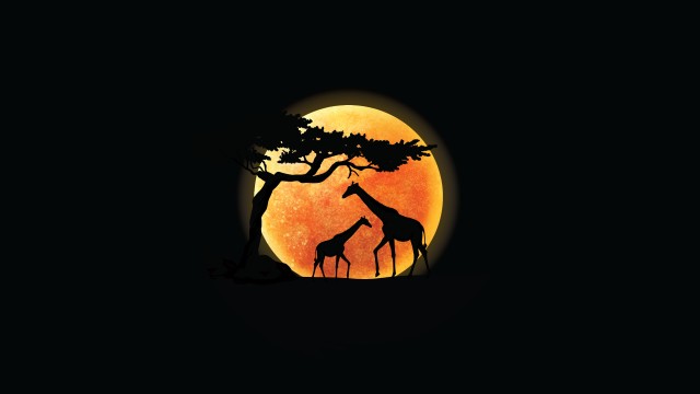 Giraffe Silhouette