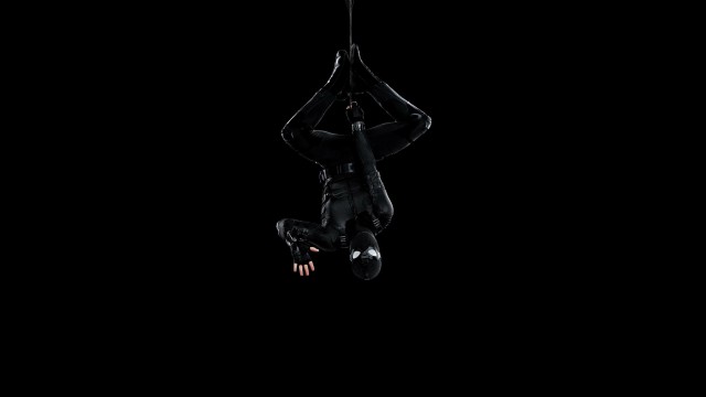 Spider-Man Black suit