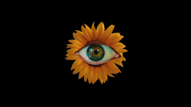 Sunflower Weirdcore