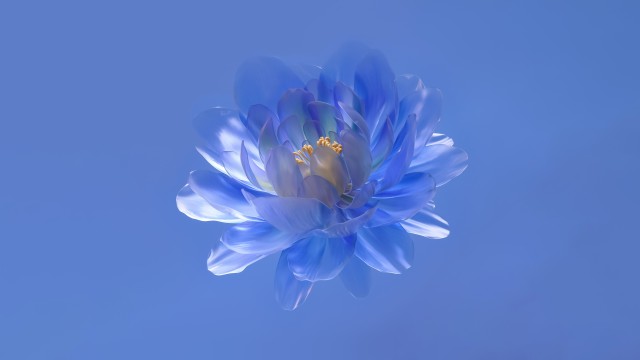 Abstract flower Blue aesthetic
