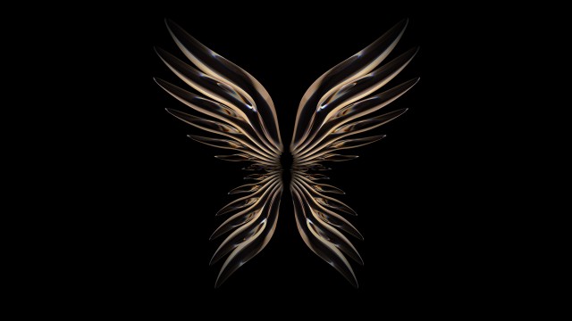 Angel wings Huawei P50 Pocket