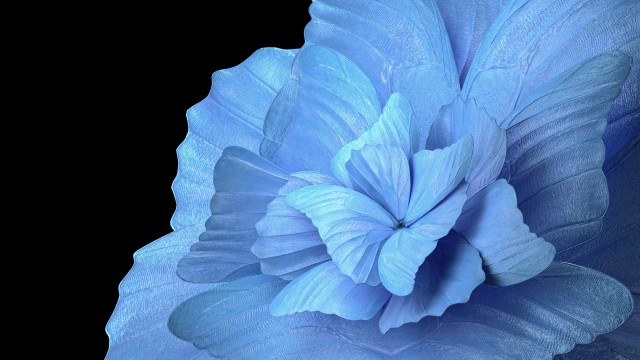 Floral Background Blue background