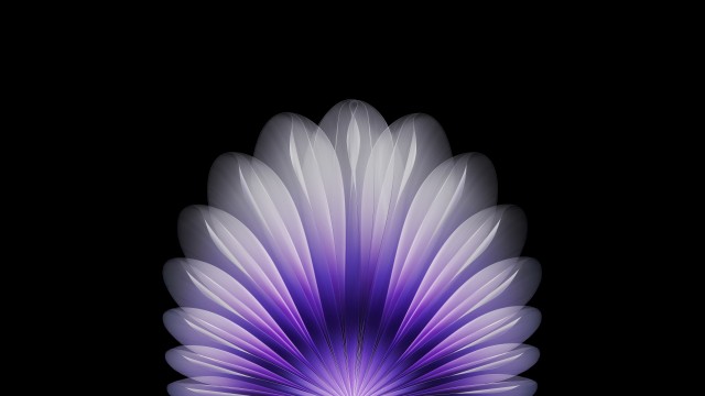 Floral Purple abstract