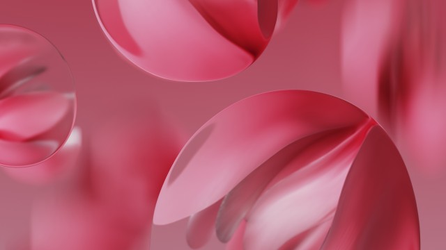 Google Pixel 9a Raspberry