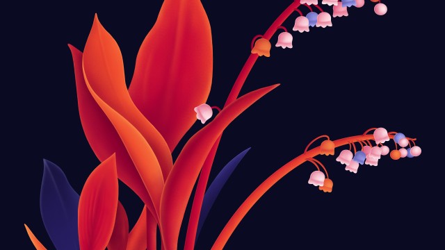 Lily flowers Digital Art