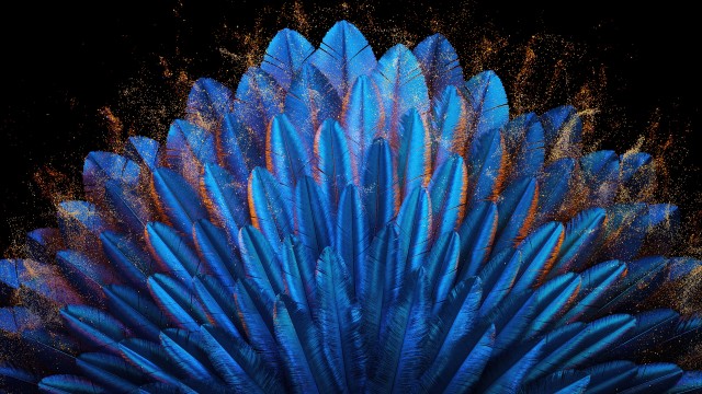 Peacock feathers Blue aesthetic