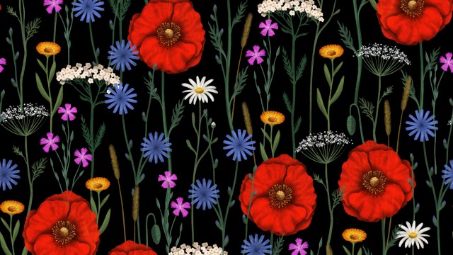 Poppies Floral designs