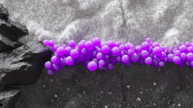 Purple balloons LGBTQ