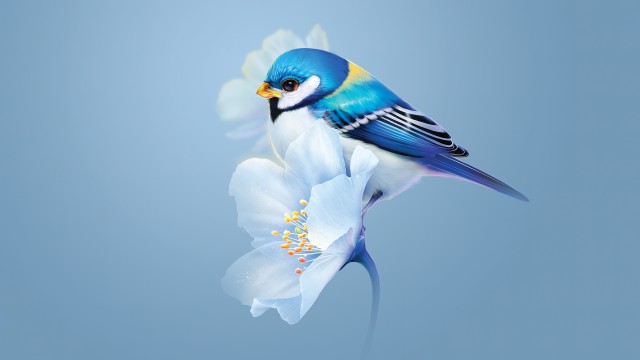 Cute bird Blue flower