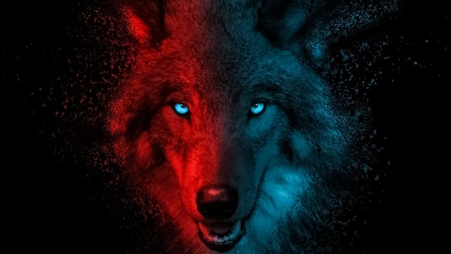 Wolf Scary