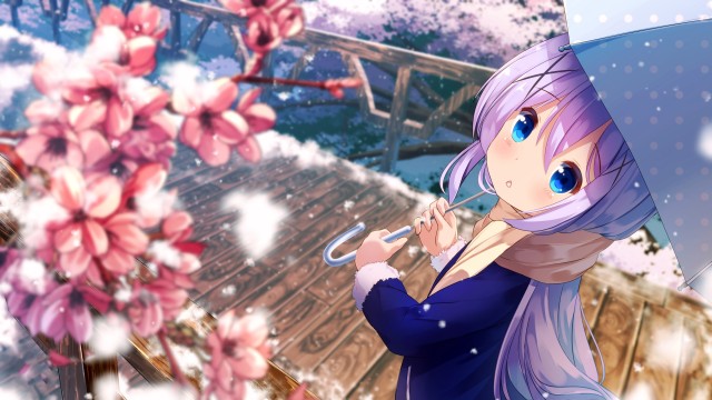 Chino Kafuu Anime girl
