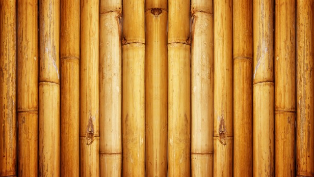 Bamboo Wall