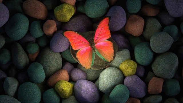 Butterfly Stones