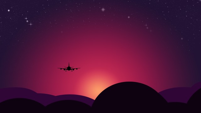 Plane Sunset