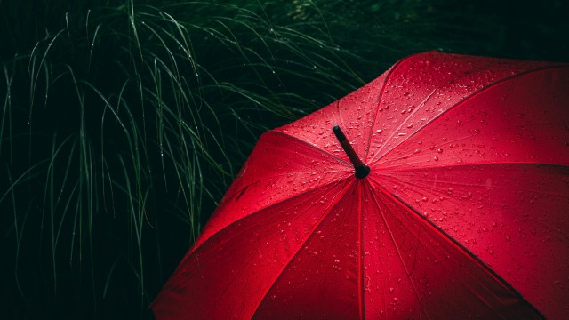 Umbrella Red