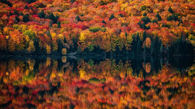 Algonquin Provincial Park Ontario