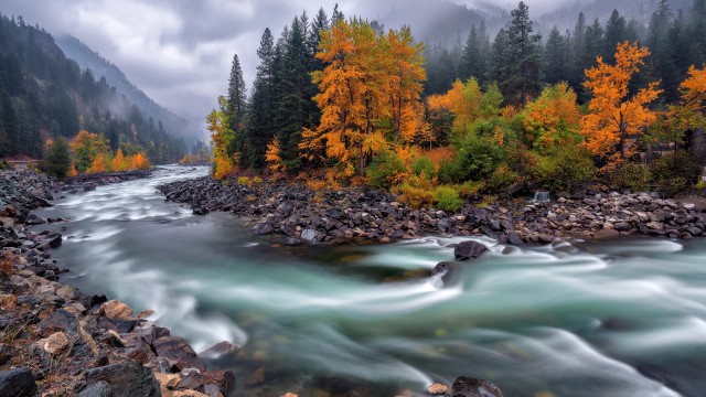 Autumn River Stream
