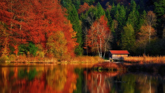 Autumn Scenery Lakeside
