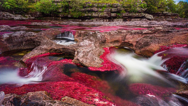 Caño Cristales River