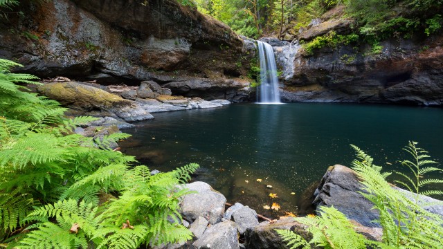 Coquille River Falls Oregon