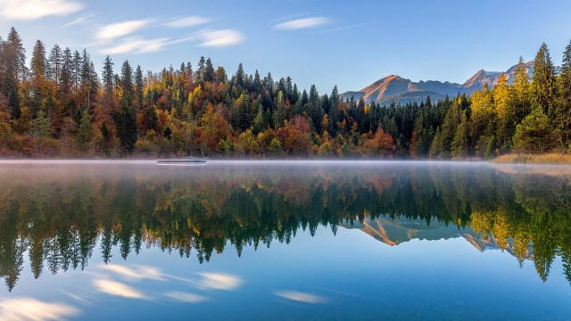 Crestasee Lake Autumn trees