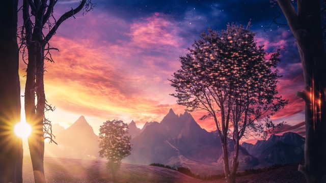 Deer Lavender fields