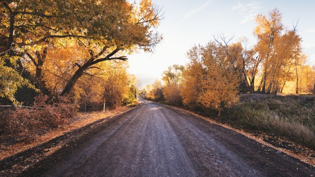 Dirt road Autumn trees