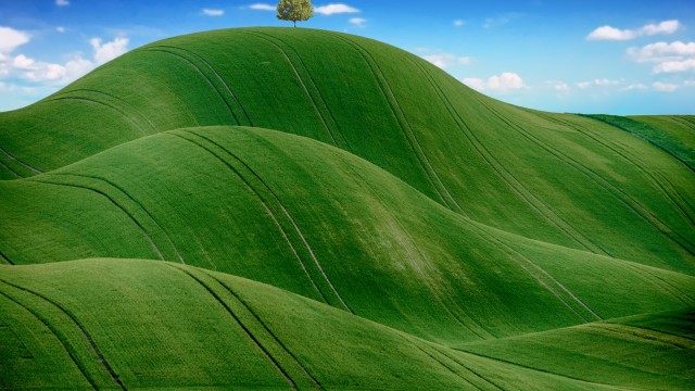 Green Meadow Countryside