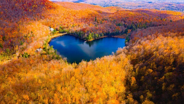 Heart Shaped Lake Autumn Forest