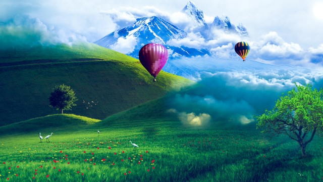 Hot air balloons Scenery