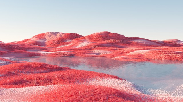 Landscape Infrared vision