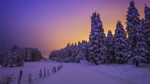 Landscape Purple sky