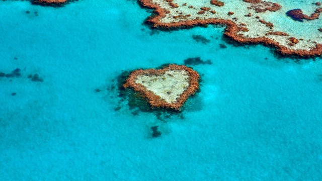 Love heart Heart Reef