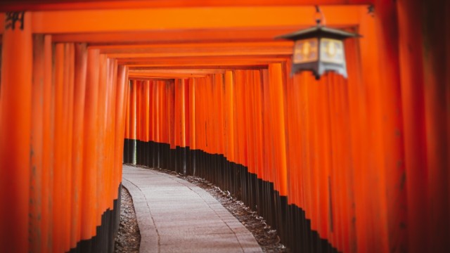 Shinto Shrine Tokyo