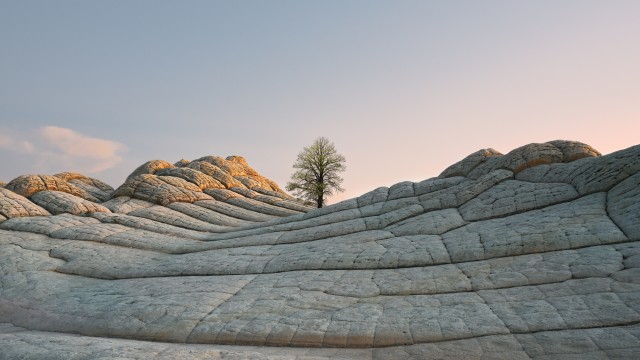 macOS Big Sur Daylight