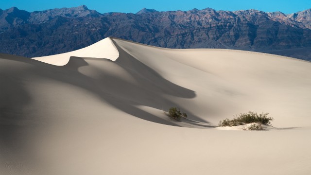 Mesquite Flat Sand Dunes Death Valley National Park