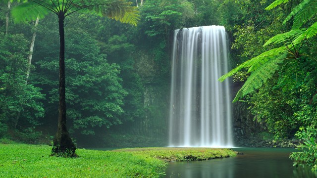 Millaa Millaa Falls Australia