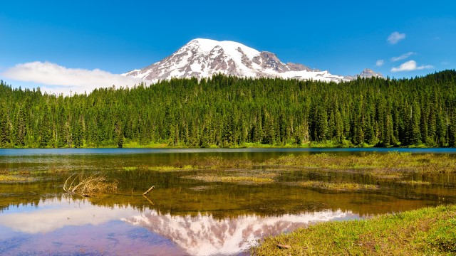 Mount Rainier Volcano