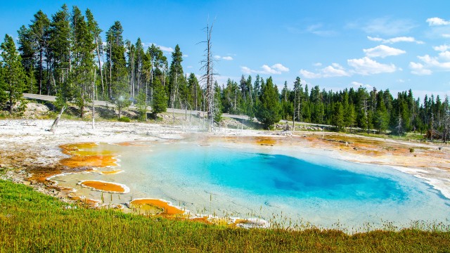 Mudpot Yellowstone National Park