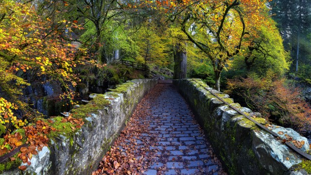Old Bridge Over River Braan Hermitage