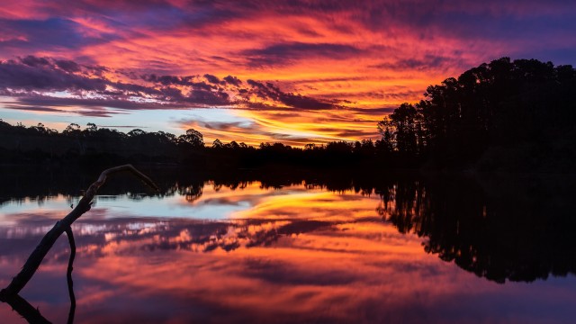 Sunset over a lake with trees