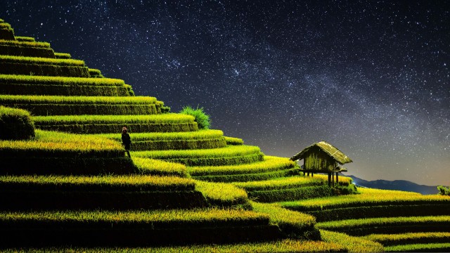 Terrace farming Rice fields