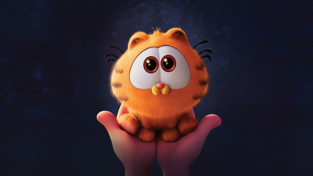 Baby Garfield in The Garfield Movie