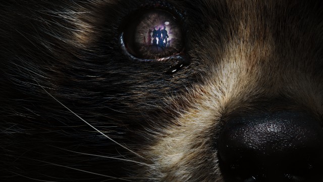 Rocket Raccoon Guardians of the Galaxy Vol. 3